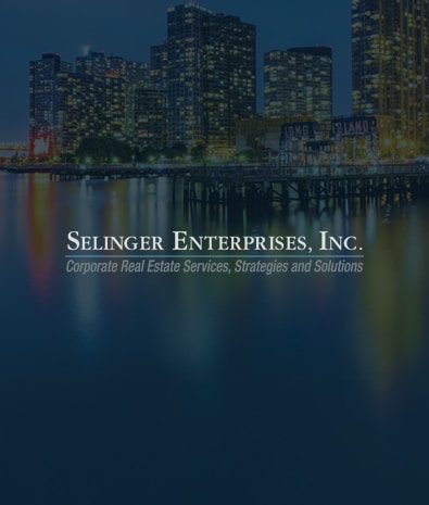 2017 Wordpress Design Portfolio- Selinger Enterprises Featured Image